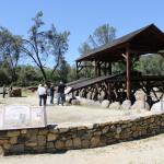 IMG_7674 (May 28, 2024)